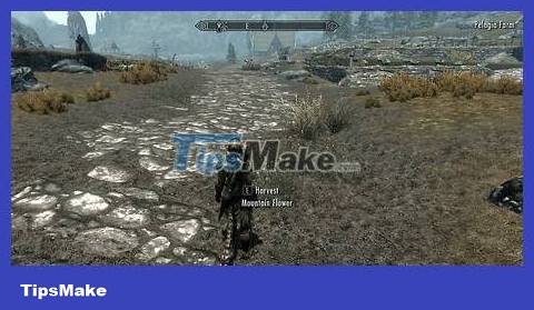 How to Join the Dark Brotherhood in Skyrim Picture 7