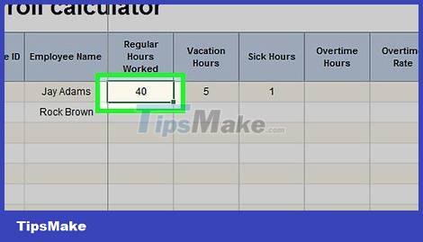 How to Make Payroll on Excel in the US Picture 14
