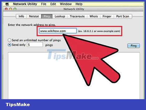 How To Ping An Ip Address Tipsmake Com