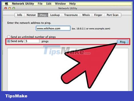 How to Ping an IP Address Picture 6