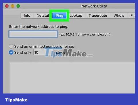 How to Ping on Mac OS Picture 4