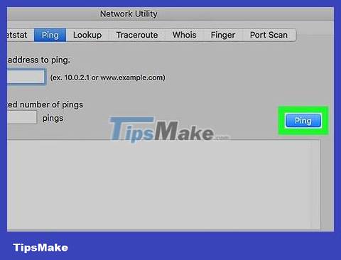How to Ping on Mac OS Picture 7