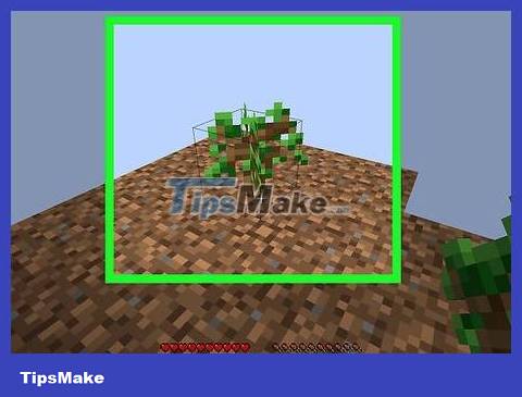 How to Play SkyBlock in Minecraft Picture 24