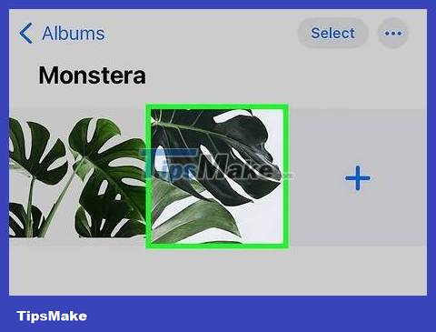 How to Send Files Using Bluetooth on iPhone Picture 7
