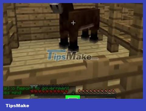 How to Tame a Horse in Minecraft for PC - TipsMake.com