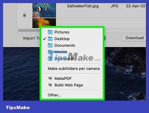 How to Transfer Photos from iPhone to Mac Picture 31
