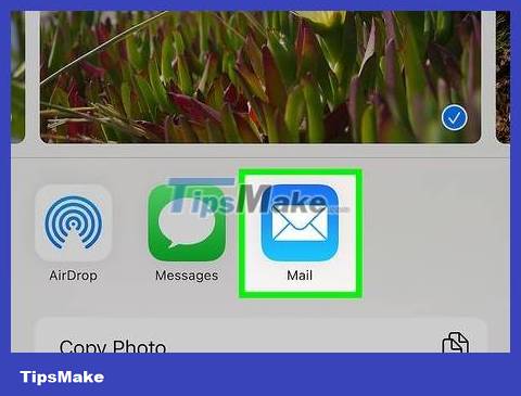 How to Transfer Photos from iPhone to Mac Picture 41