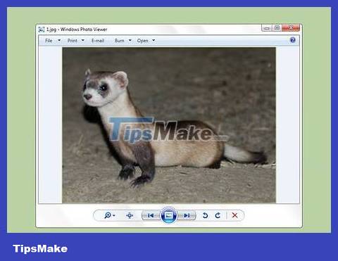 How to Transfer Photos from Phone to Computer Picture 14