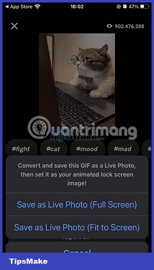 How to turn GIF into sticker on iPhone Picture 4