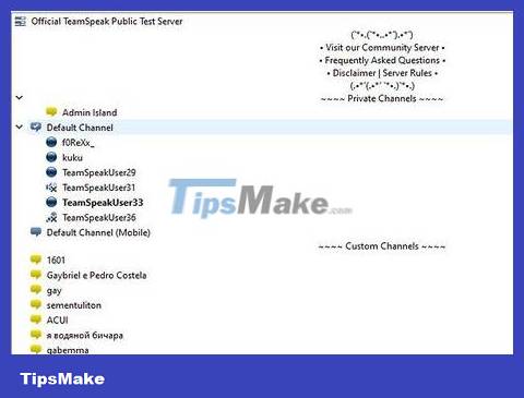 How to Use Teamspeak Picture 17