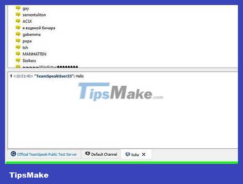 How to Use Teamspeak Picture 18