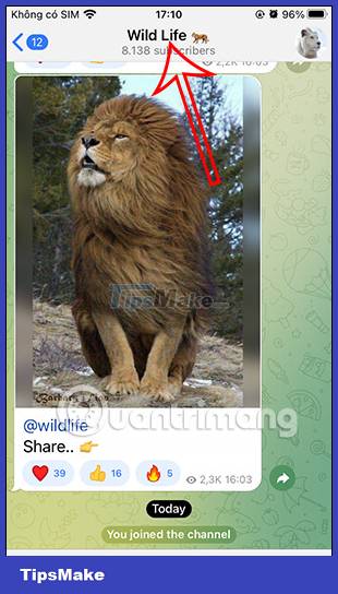 Instructions for finding similar channels in Telegram Picture 2