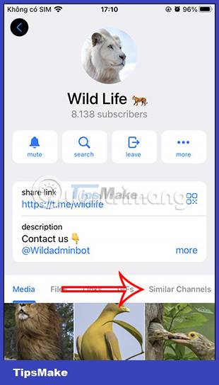 Instructions for finding similar channels in Telegram Picture 3
