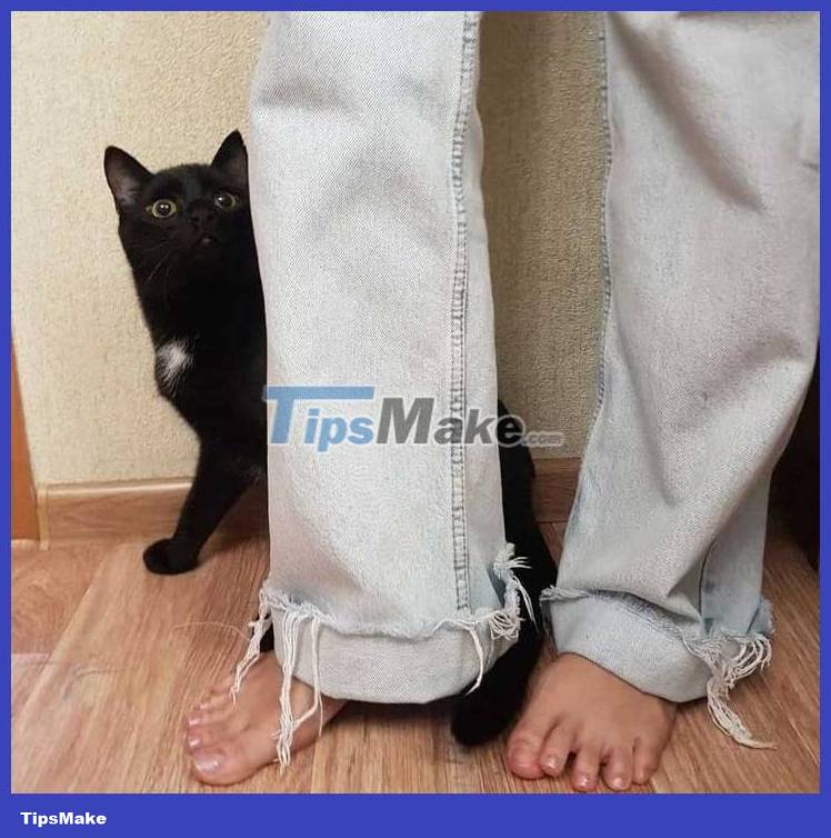 Mistakes women should avoid when wearing jeans Picture 2