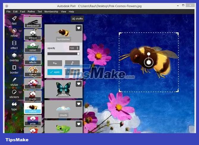Pixlr - Advanced photo editing tool Picture 3