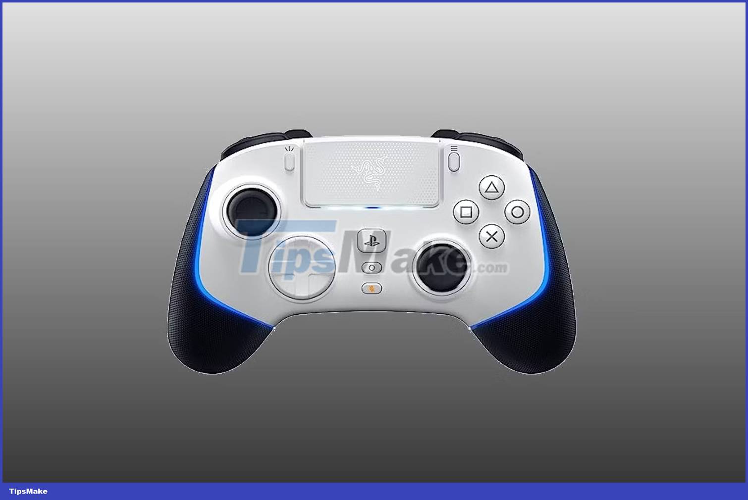 The 5 best customizable game controllers of 2023 Picture 3