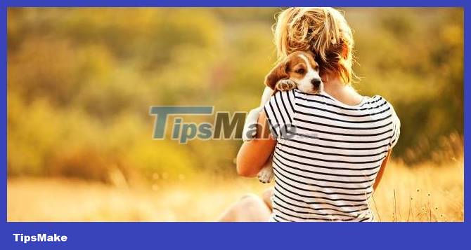 Useful tips to help you think positively and live more optimistically Picture 4