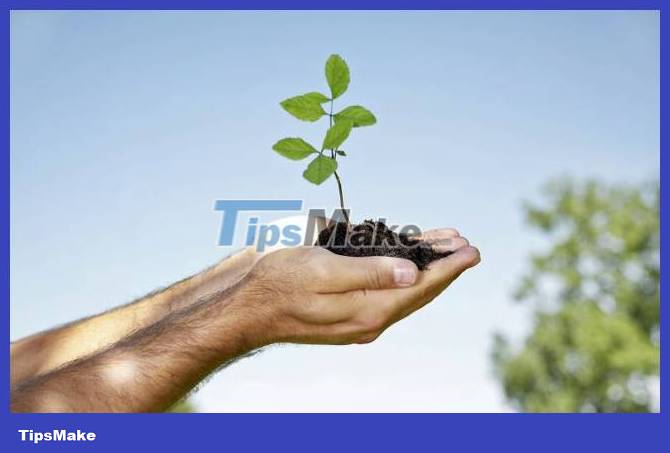 Useful tips to help you think positively and live more optimistically Picture 5