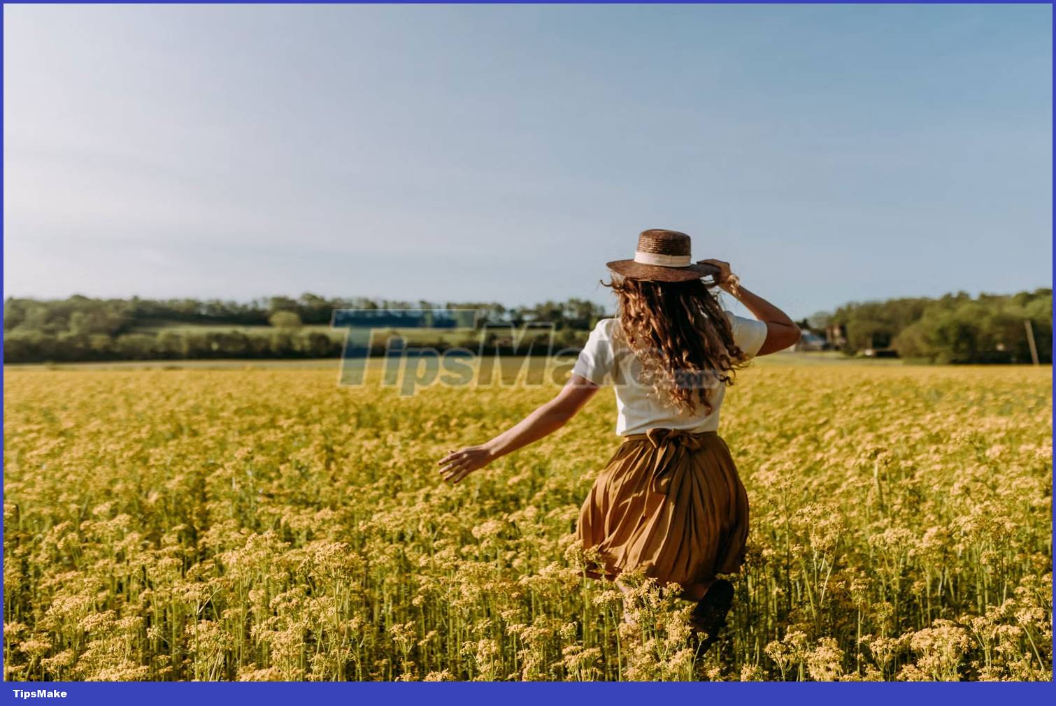 What is white balance in photography? Picture 5