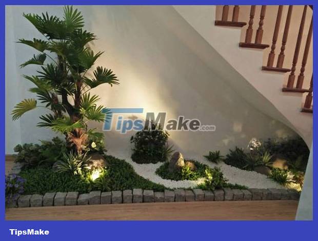 Where to place ornamental plants in the house is good for feng shui? Picture 4
