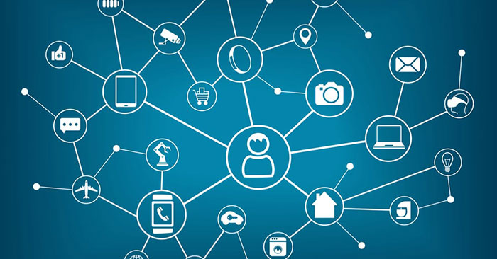 Difference Between Segment and Backbone in Network: Key Facts