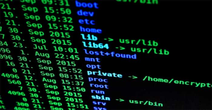 Difference Between Zsh and Bash: Complete Overview