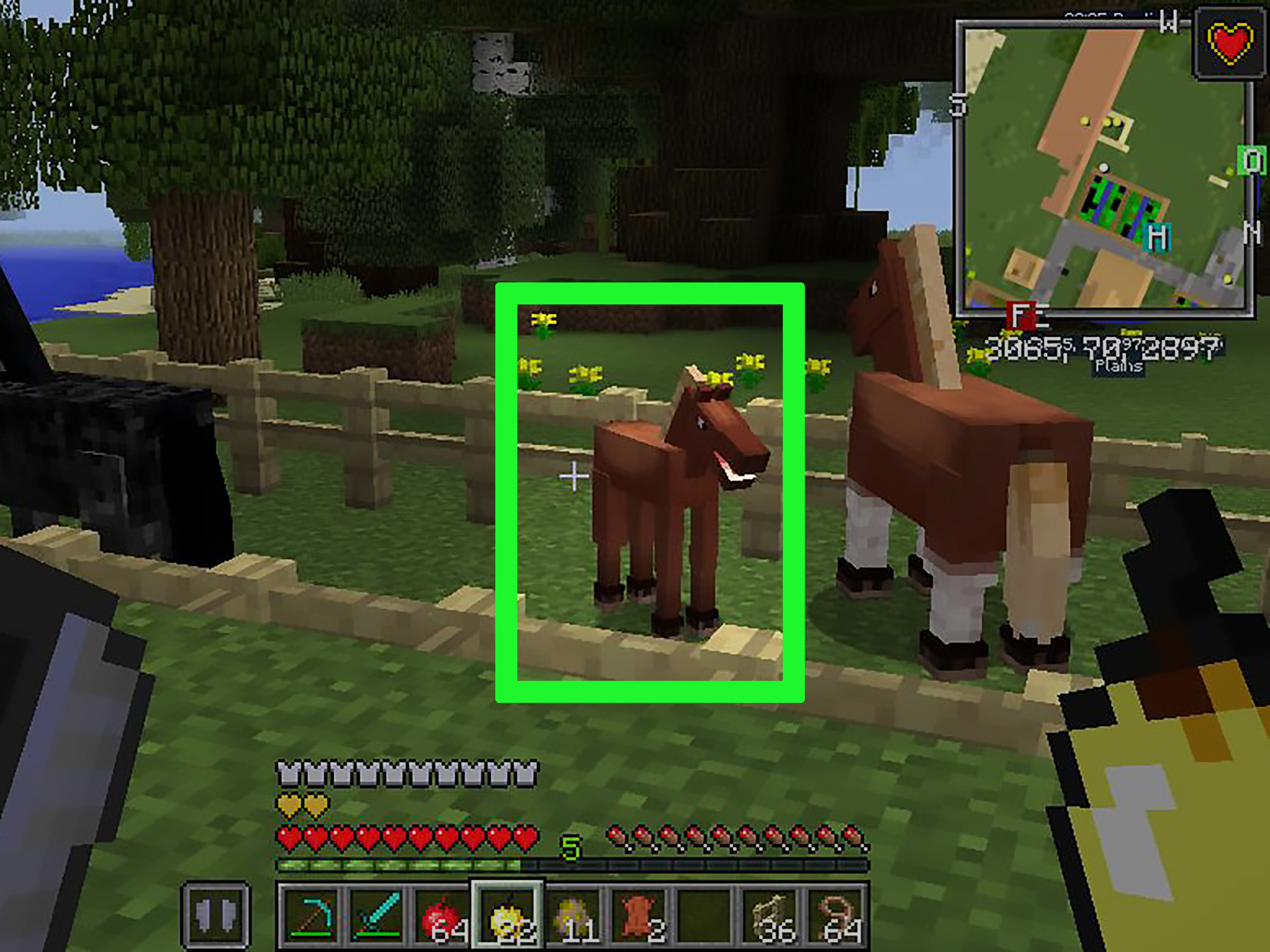 How to Breed Horses in Minecraft Game: Complete Guide