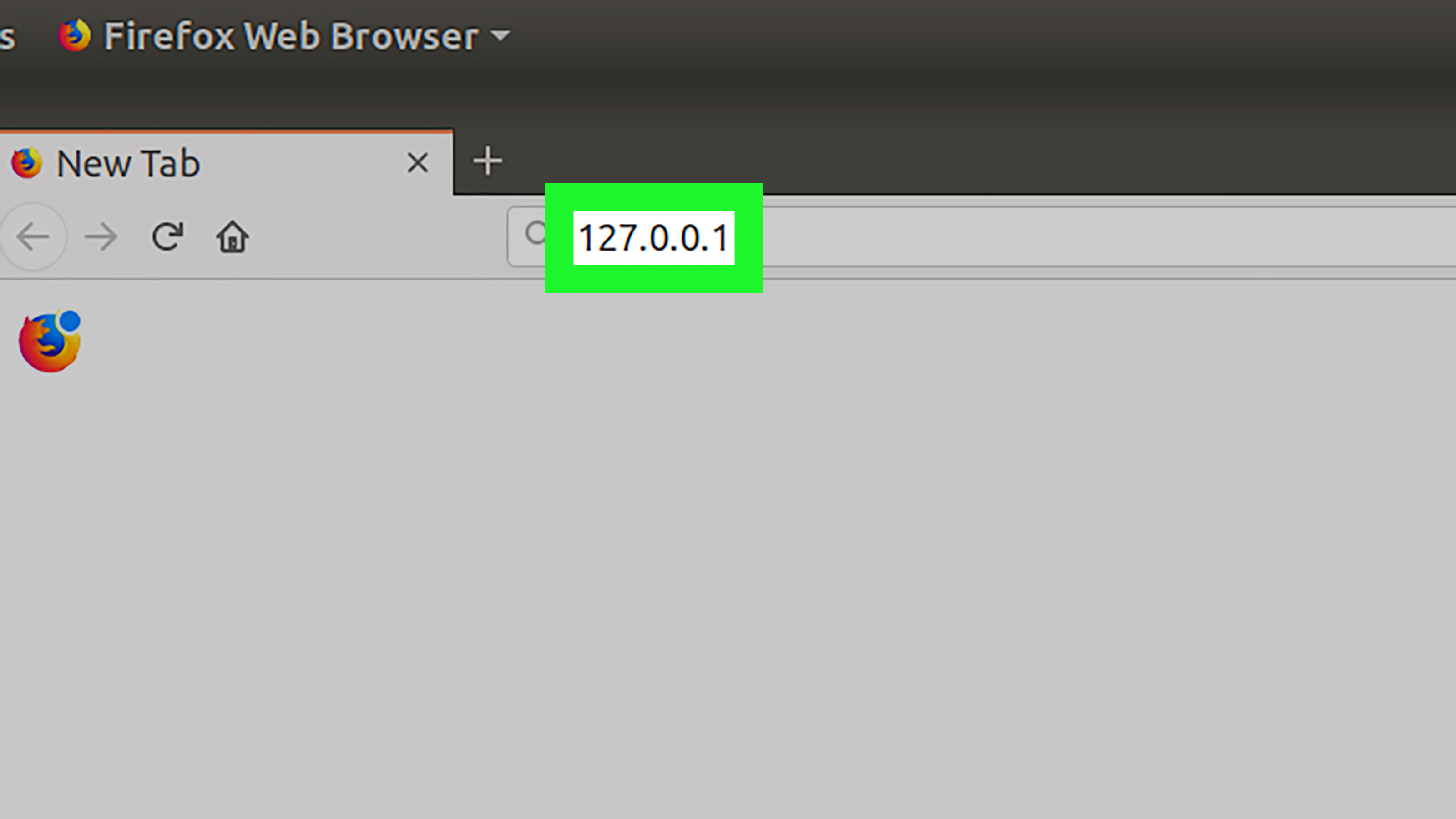 How to Install XAMPP on Linux: Complete Guide
