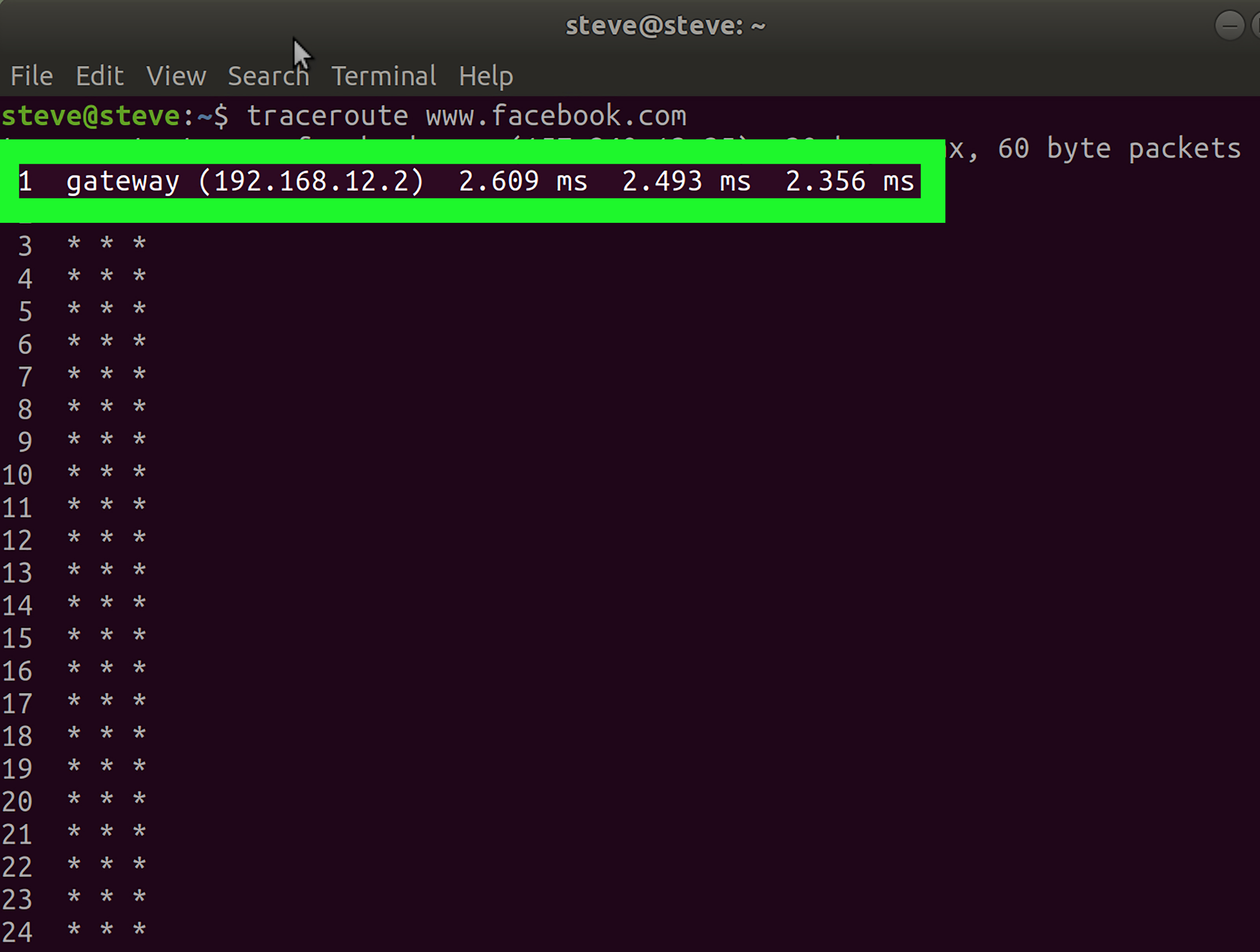 How to Ping on Linux: Clear Instructions