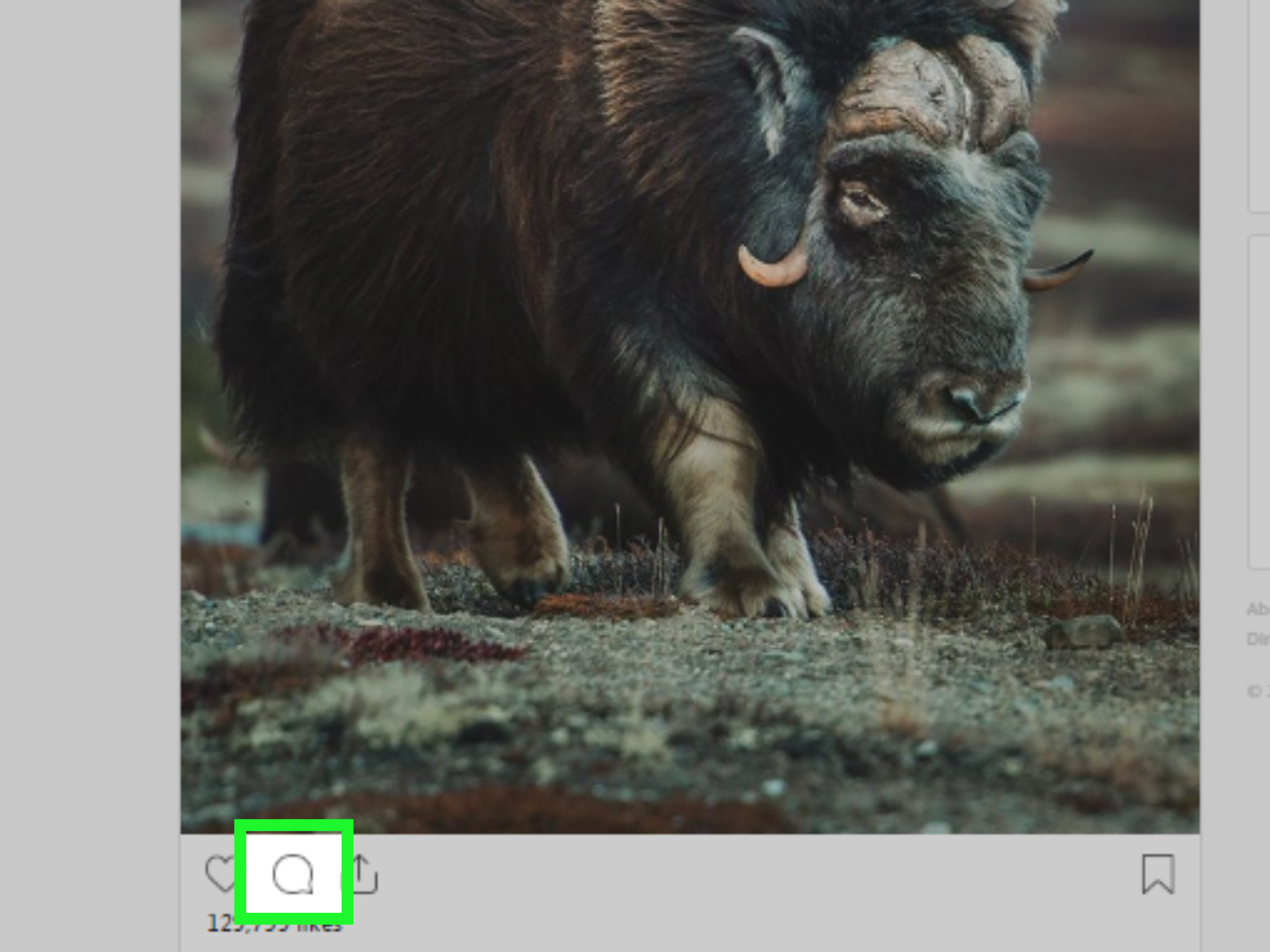 How to Post Photos to Instagram: Clear Instructions