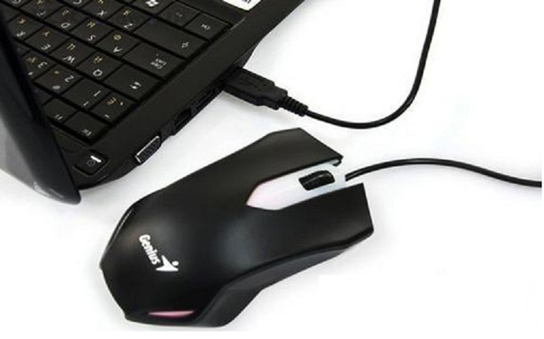 Reasons Why the Computer Does Not Recognize the Mouse and How to Fix It