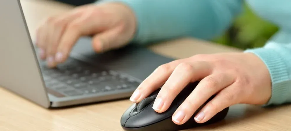 A Computer Mouse Explained