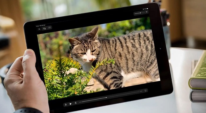 What to Do If You Can't Enlarge the Screen When Watching Videos on iPad