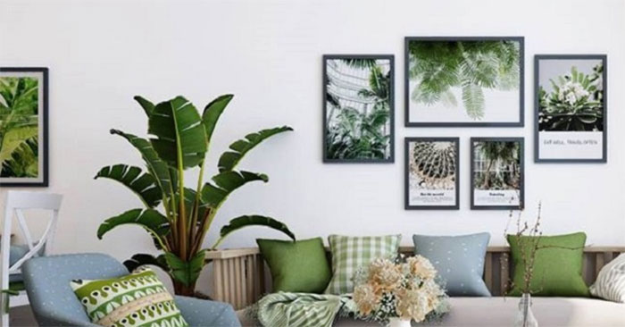 Where to Place Ornamental Plants in the House Is Good for Feng Shui Explained