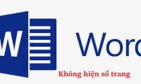 Find an effective way to handle the error of not displaying page numbers in Word