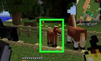 How to Breed Horses in Minecraft Game