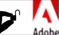 How to use Adobe Flash after it was discontinued