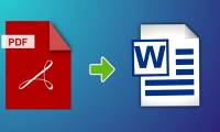 Looking for a way to fix the error of PDF files converted to Word not being editable