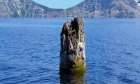 Mysterious 9m long log floating vertically for 120 years on the lake