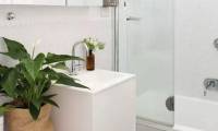 Plants suitable for growing in the toilet help deodorize and clean the air