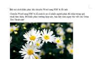 Revealing how to fix image errors when converting Word to PDF