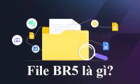 What is BR5 file?