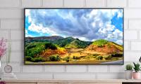 What is QD-OLED? Why is QD-OLED better than OLED or LCD TV?
