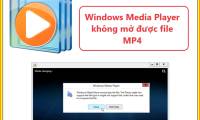 Windows Media Player Cannot Open MP4 Files, What Should You Do Explained
