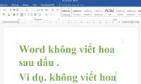 Word error does not capitalize after a period and how to fix it effectively