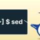 How to use sed command in Linux