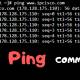 Photo of How to use the Ping command in Linux