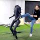 Photo of The world's most powerful multi-purpose humanoid robot, 'won't fall even if you step on it'