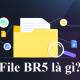 What is BR5 file?
