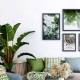 Photo of Where to place ornamental plants in the house is good for feng shui?